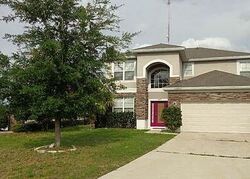  Cypress Knee Cir