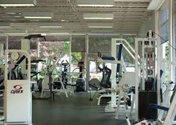  Arlington Ave Apt 19a